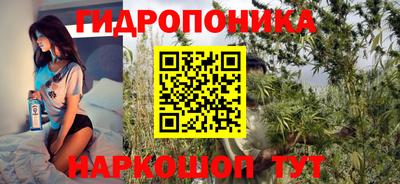мяу мяу мука Будённовск