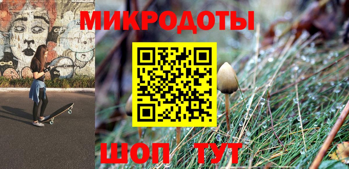 Псилоцибиновые грибы Psilocybe Партизанск